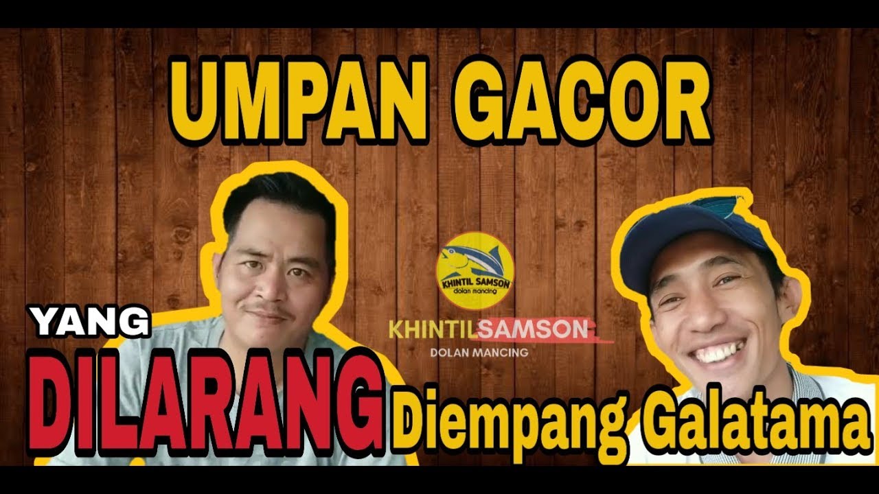 Umpan Gacor Yang Dilarang Diempang Galatama Lele | Mancing lomba