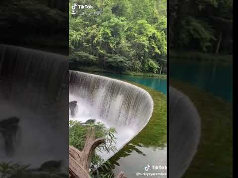 اول مرة اشوف الجنه علي الارض