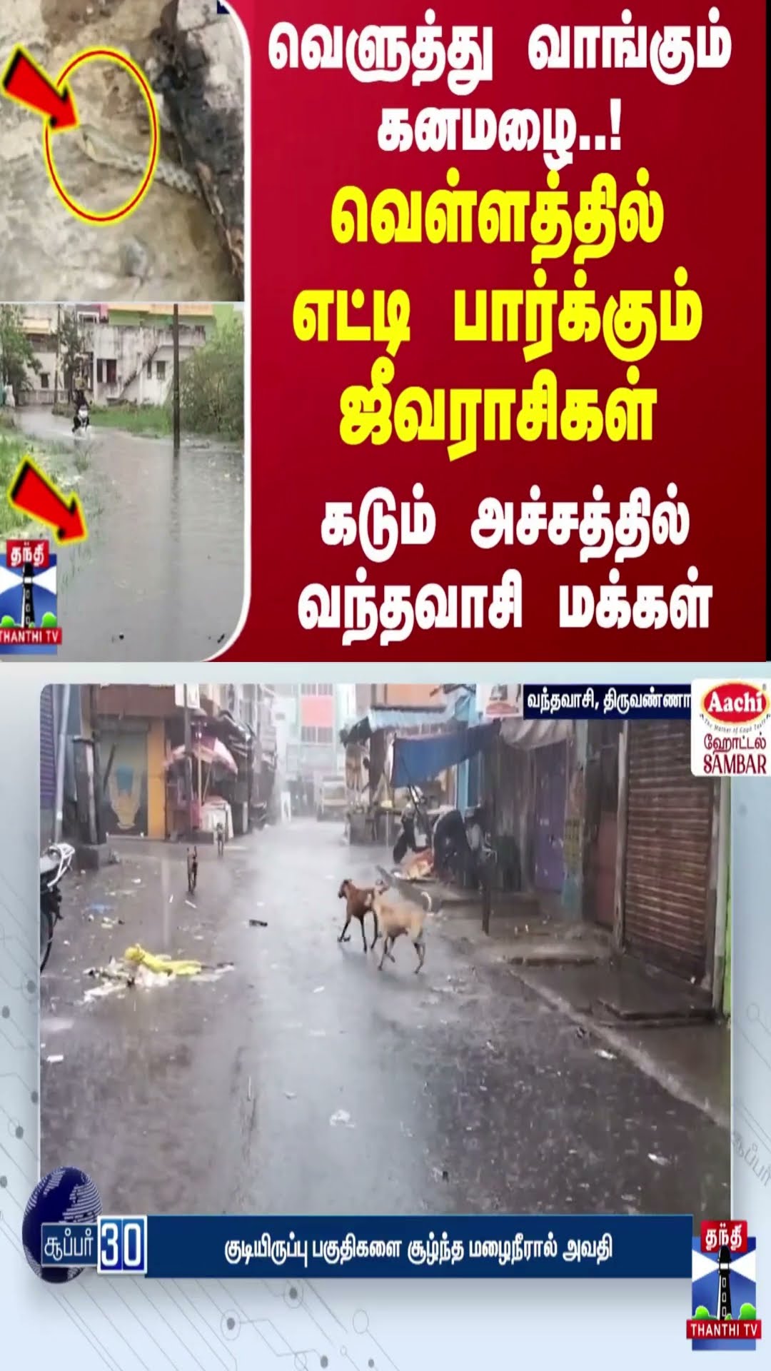 வெளுத்து வாங்கும் கனமழை! வெள்ளத்தில் எட்டி பார்க்கும் ஜீவராசிகள்.. கடும் அச்சத்தில் வந்தவாசி மக்கள்