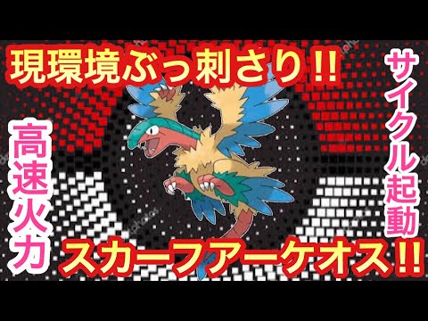 ポケモンusum 環境刺しスカーフアーケオス ウルトラサン ウルトラムーン Youtube