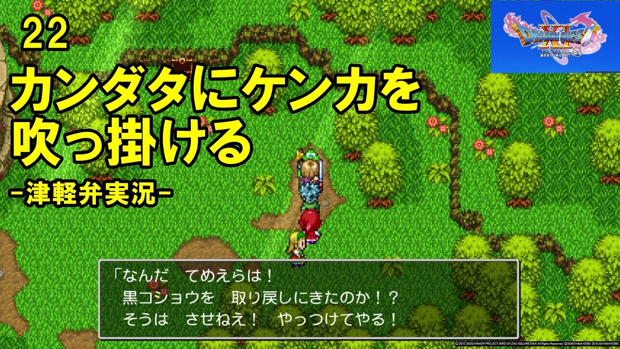 Dialect Let's Play] Dragon Quest XI Gameplay Part 22 [PS4] #2DMode