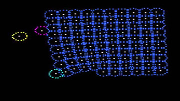 Elastic cell simulation (99 cells)