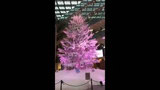 White Kitte Christmas at KITTE in Marunouchi area (Facebook Live)