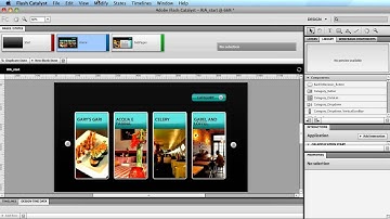 Flash Catalyst Align Grid Rulers.f4v