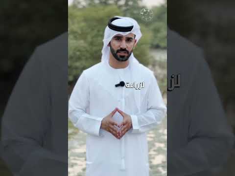 للتخفيف من آثار التغير المناخي هيئة البيئة بأبوظبي تطلق مبادرة غرس الإمارات لزراعة أشجار القرم