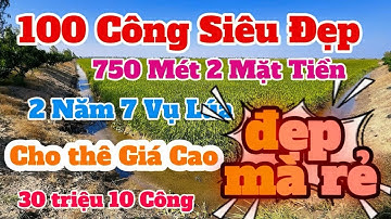 (Số 851) Bán 100 Công 💥750M Mặt Tiền Khủng📍Lô Đất Quá Tuyệt Vời 👉30Triệu/1hecta/ 1 Năm