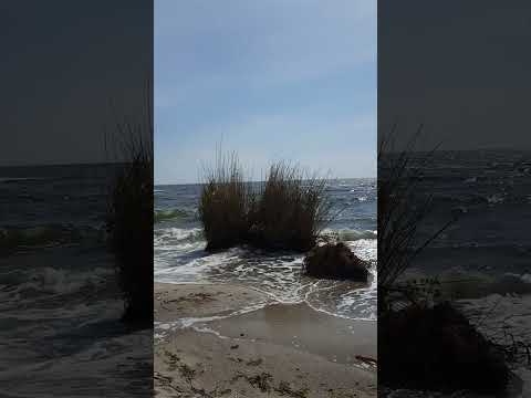 Видео: Скульптурный пляжный дом побережья Орегона от Boora Architects