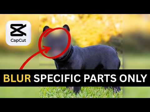 How To Blur Part Of Video In CapCut PC [FULL GUIDE] | Blur Moving Object in CapCut