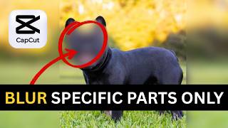 How To Blur Part Of Video In CapCut PC [FULL GUIDE] | Blur Moving Object in CapCut