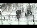 Драка стенка на стенку. Видео!