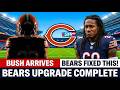 EVEN MORE Good News for the Bears... And It’s Bigger Than You Think