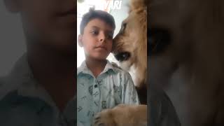 my friend Sher Khan🐯