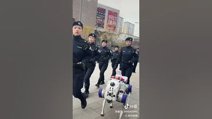 Robot dogs appear on the streets of Hangzhou, China, helping police patrol and maintain public order