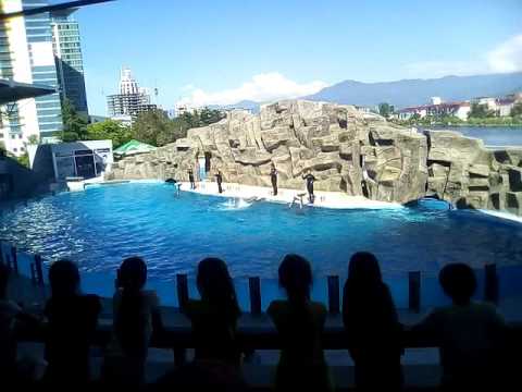 ბათუმის დელფინარიუმი