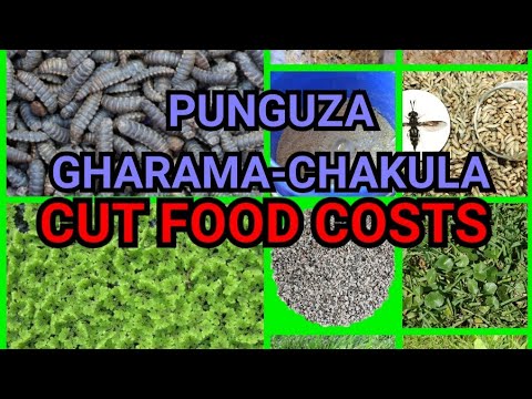 Video: Jinsi Ya Kupunguza Gharama Za Chakula