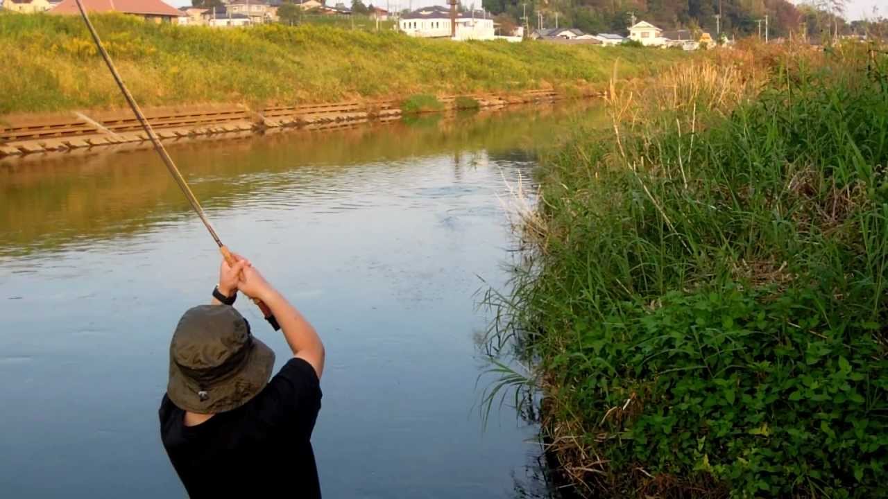 コイのフライフィッシング Youtube