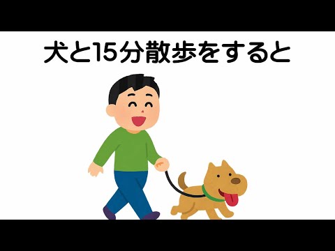 犬の散歩の健康効果10選：実は見落としがちなメリットを愛犬と一緒に