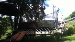 Little tramp sesh