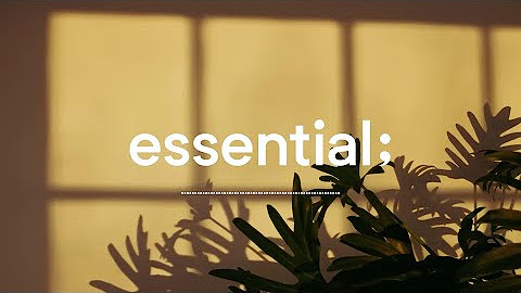 브랜딩의 시대 (feat. essential;) 네이버 블로그