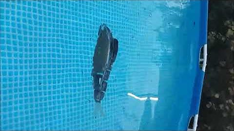 39- Robotic Fish Design and Implementation. Doctoral Work, 2015.