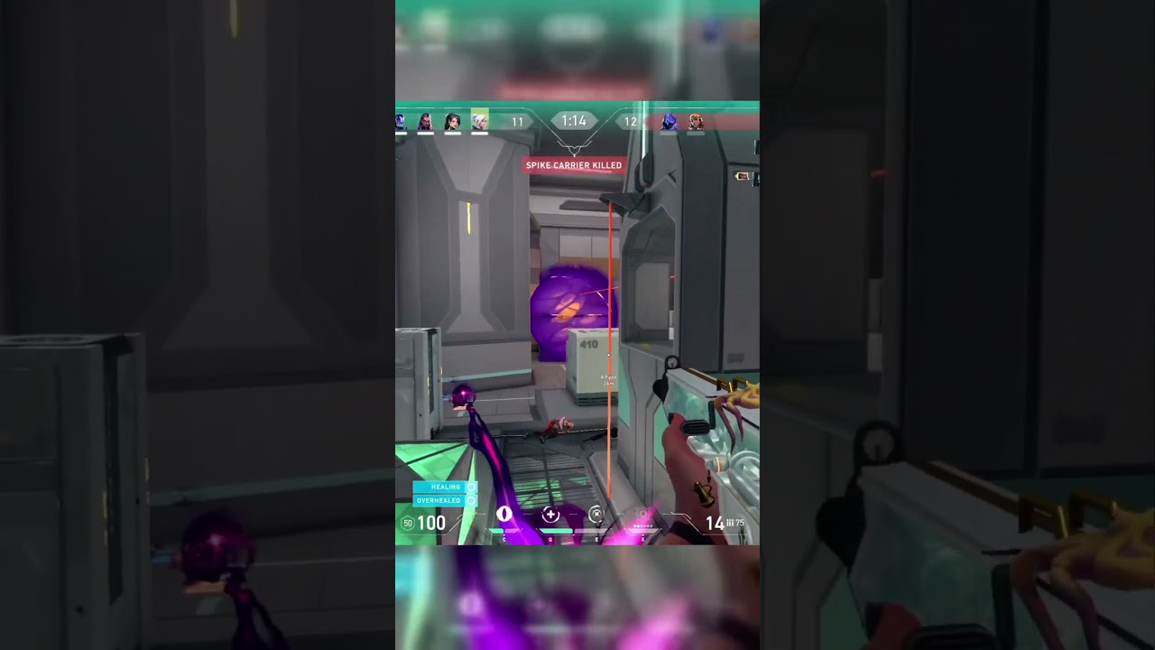 Sus Spray on the KJ 😅🤔 