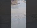Орск. Март 🙄🙄