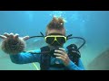 Kids First Scuba Dive