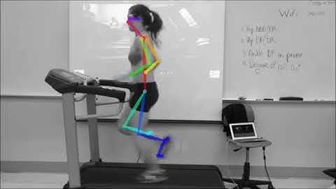 Treadmill Running with OpenPose | Biomechanics