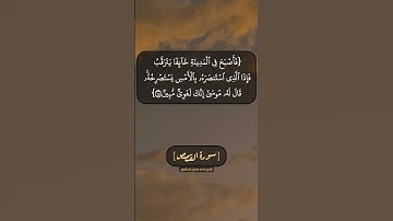 سورة القصص الآية ١٦ الى ١٨ بصوت الشيخ محمد صديق المنشاوي