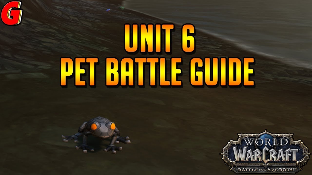 Unit 6 Pet Battle Guide - BFA - YouTube