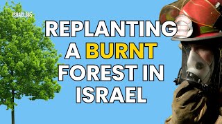 Uncovering the Tragic Tree Loss in Shoresh Community 🇮🇱