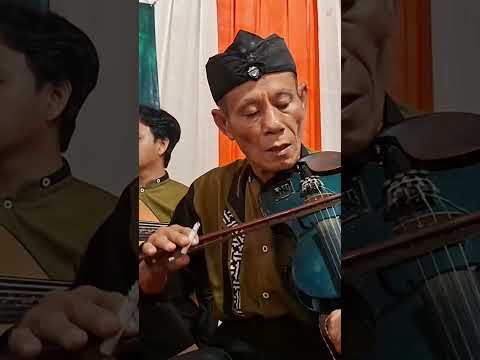 Master gambus, master of oud #shorts #oud #oud_music #traditional #masterofoud #gambus #lilinab