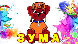 Как нарисовать щенка ЗУМУ из мультика ЩЕНЯЧИЙ ПАТРУЛЬ. How to draw ZUMA Paw Patrol characters