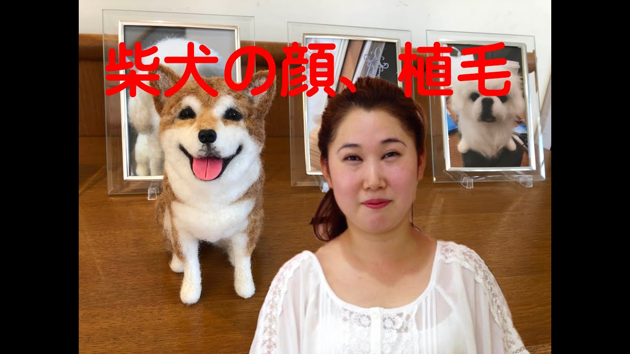 柴犬の顔植毛 犬 初心者 羊毛フェルトjoy Youtube