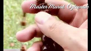 Master Murat Öztoprak Tesbih