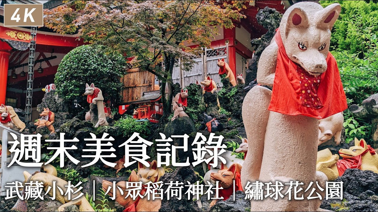 日本生活｜武藏小杉・新丸子美食散步、108隻神狐守護的稻荷神社、東京繡球花公園、開箱等半年的巧克力蛋糕！週末外食記錄｜日本旅遊、東京、Satori日本生活