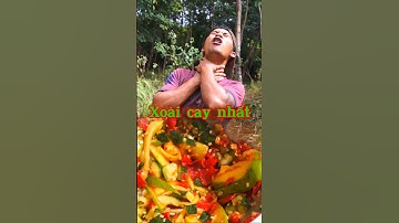 Thử thách xoài cay trong rừng. #shorts #vlog