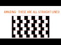 8 MIND-BLOWING Optical Illusions - THESE ARE ALL STRAIGHT LINES