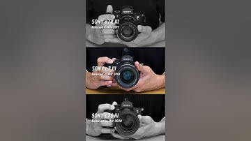 SONY α7R III / α7 III / α7S III シャッター音 / The shutter sound of Sony mirrorless camera Alpha series
