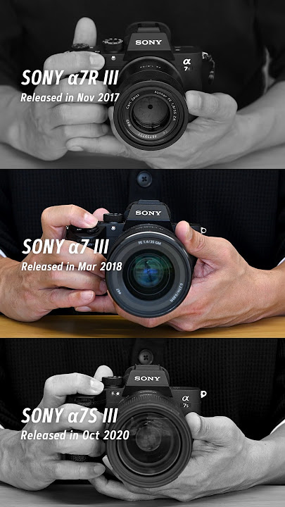 SONY α7R III / α7 III / α7S III シャッター音 / The shutter sound of Sony mirrorless camera Alpha series
