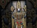 sri venkatesaya suprabhat #tirumala