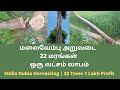 மலைவேம்பு அறுவடை | Melia Dubia Harvesting | ஒரு லட்சம் லாபம் 22 மரங்களில்