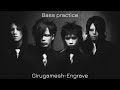 Girugamesh Engrave bass cover practice
