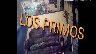 Download Lagu Los Primos Yudt 2019 MP3 Los Primos Yudt 2019
