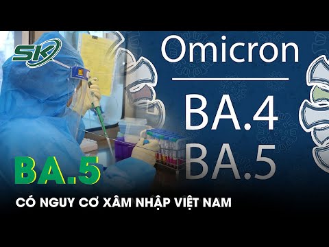 Cảnh Báo Nguy Cơ Biến Thể Phụ Của Omicron - BA.5 Có Thể Xâm Nhập Việt Nam