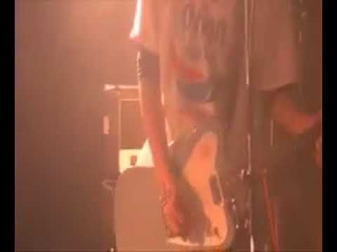 【オレンジ】EVERLONG エバロン SHOW-EACH コピー