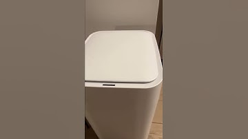 Townew trash can review