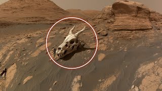 NASA’s Rover Captures Amazing 4K best Footage of a Mysterious Mars Basin | New Fascinating Discovery