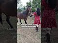 Catrín cada que me ve 🥲😂 #zacatecas #rancho #vidaderancho #caballos #catrin