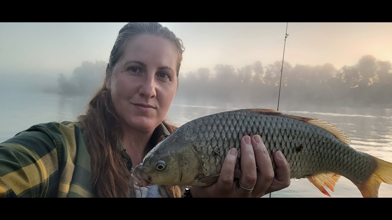 Crapii au tras dimineata pe ceata.Porumb versus mamaliga awdfishing